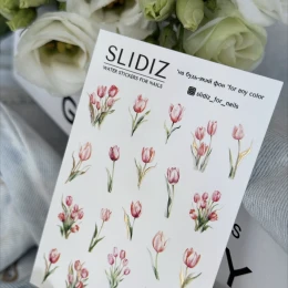 SLIDIZ 388