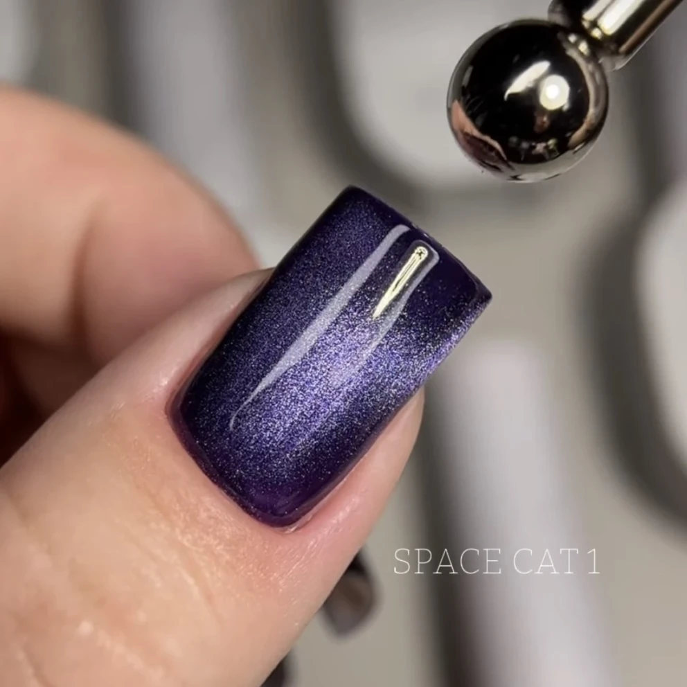 Space Cat