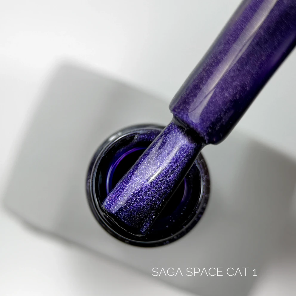 Space Cat