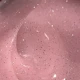 NIGHT GEL 15ml