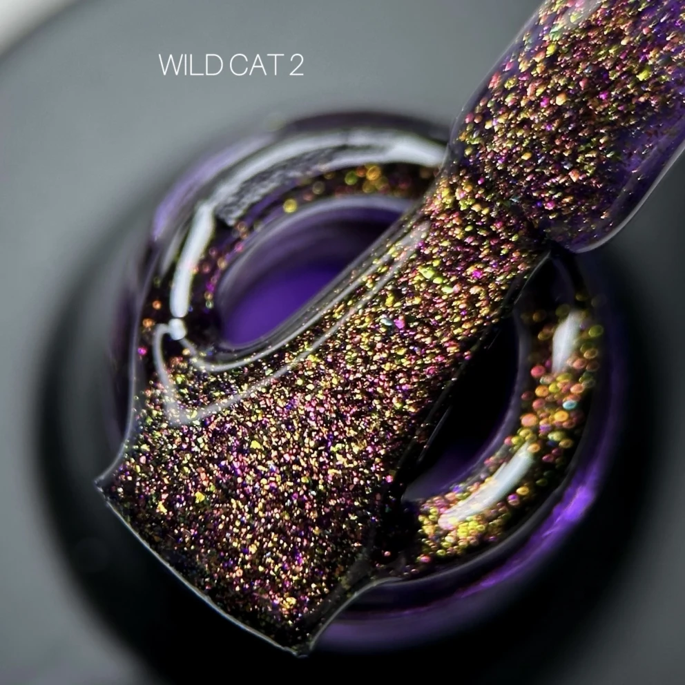 Wild Cat